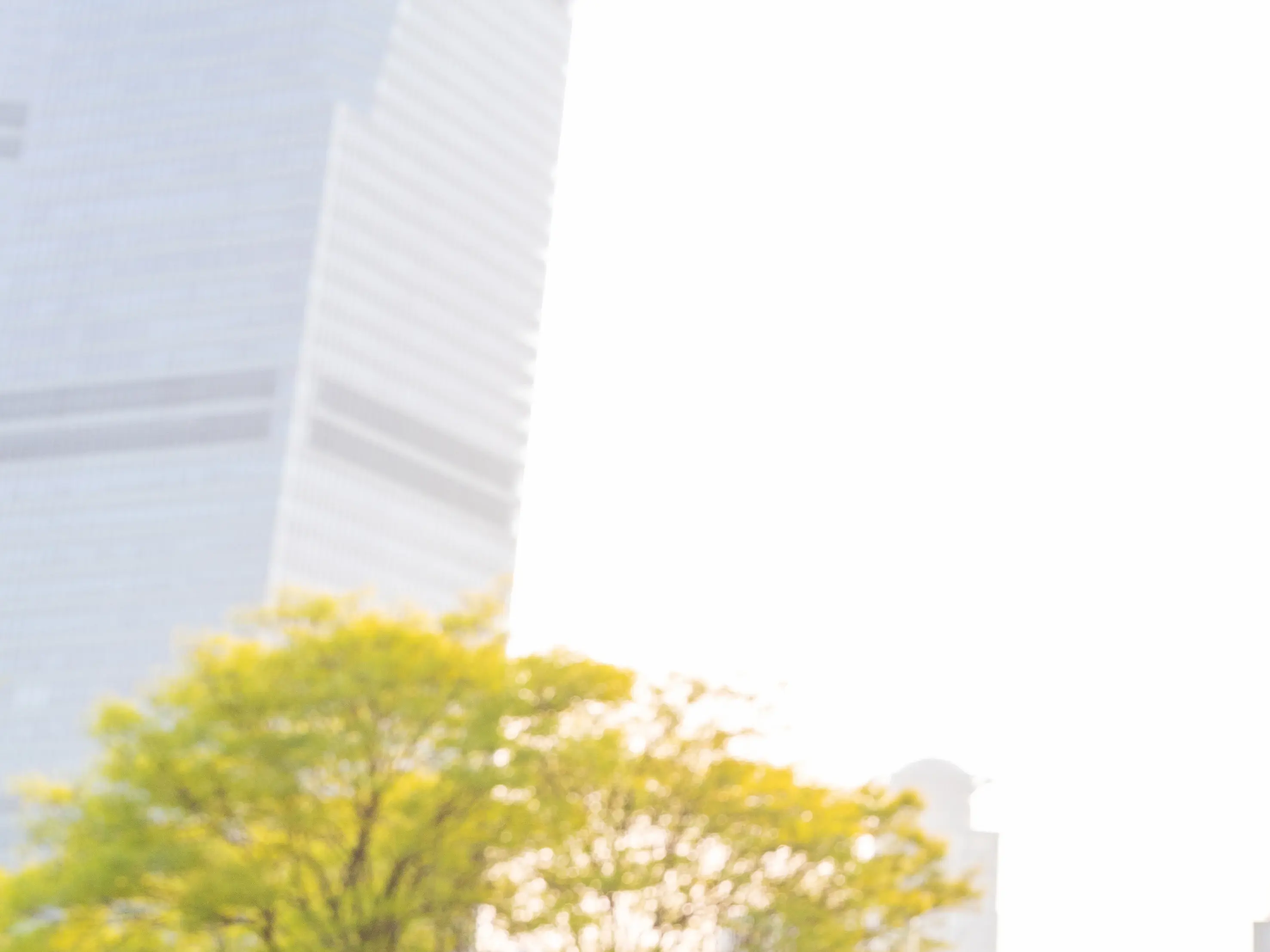 不动产查询不到房产信息,解决办法及注意事项