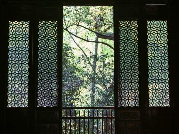 长沙一居民家中惊现眼镜王蛇,室内发现蛇类怎么办?(图1) 长沙一居民家中惊现眼镜王蛇,室内发现蛇类怎么办?(图1)