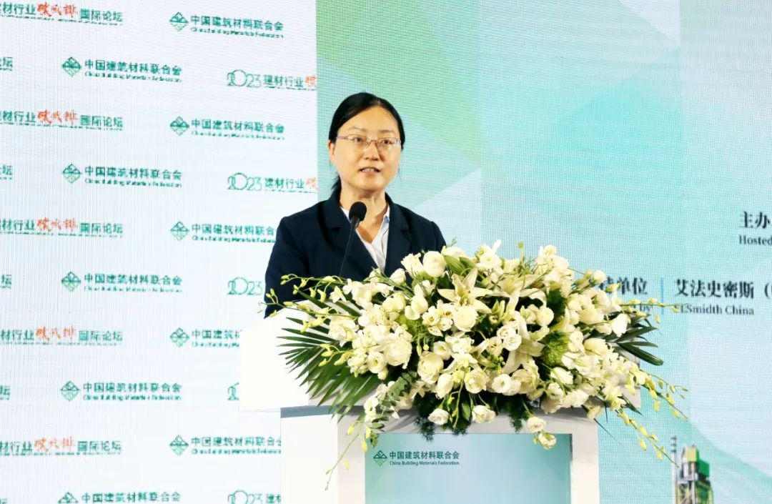 聚焦建材行业碳减排！多国代表齐聚北京(图4)