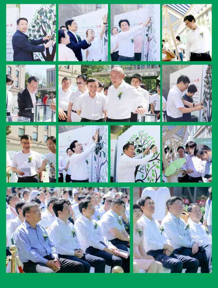 在“建材大院”播下绿色种子——首个“六零绿色建材日”活动侧记(图8)