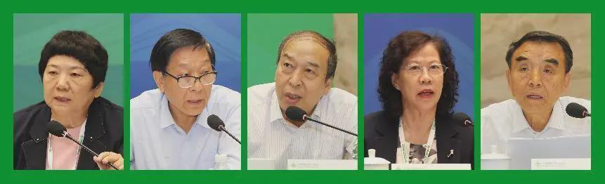 2024年省市建材行业协会座谈会在南京召开(图6)