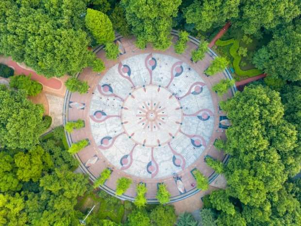 物业回应小区楼前草地变菜地，业主维权应如何操作？(图1)