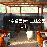 “东数西算”工程全面实施 “东数西算”工程全面实施