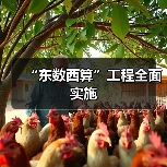 “东数西算”工程全面实施 “东数西算”工程全面实施