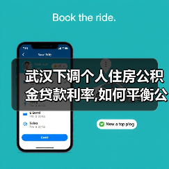 武汉下调个人住房公积金贷款利率,如何平衡公积金贷款与市场需求(图4) 武汉下调个人住房公积金贷款利率,如何平衡公积金贷款与市场需求(图4)