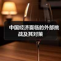 中国经济面临的外部挑战及其对策(图3) 中国经济面临的外部挑战及其对策(图3)