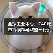全球工业中心、C40城市气候领导联盟一行到访中国建筑材料联合会(图1) 全球工业中心、C40城市气候领导联盟一行到访中国建筑材料联合会(图1)