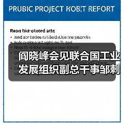 阎晓峰会见联合国工业发展组织副总干事邹刺勇(图3) 阎晓峰会见联合国工业发展组织副总干事邹刺勇(图3)