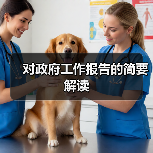对政府工作报告的简要解读(图3) 对政府工作报告的简要解读(图3)