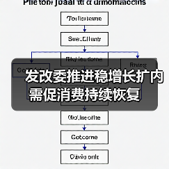 发改委推进稳增长扩内需促消费持续恢复（图4）