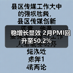 稳增长显效 2月PMI回升至50.2%(图3) 稳增长显效 2月PMI回升至50.2%(图3)