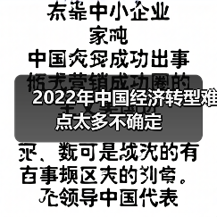 2022年中国经济转型难点太多不确定(图4) 2022年中国经济转型难点太多不确定(图4)