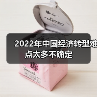 2022年中国经济转型难点太多不确定(图2) 2022年中国经济转型难点太多不确定(图2)