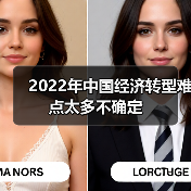 2022年中国经济转型难点太多不确定(图3) 2022年中国经济转型难点太多不确定(图3)