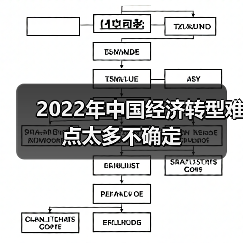 2022年中国经济转型难点太多不确定(图2) 2022年中国经济转型难点太多不确定(图2)