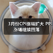 3月份CPI涨幅扩大 PPI涨幅继续回落(图4) 3月份CPI涨幅扩大 PPI涨幅继续回落(图4)