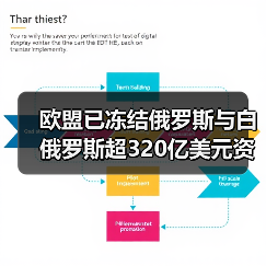 欧盟已冻结俄罗斯与白俄罗斯超320亿美元资产(图4) 欧盟已冻结俄罗斯与白俄罗斯超320亿美元资产(图4)