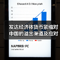 发达经济体货币紧缩对中国的溢出渠道及应对(图4) 发达经济体货币紧缩对中国的溢出渠道及应对(图4)