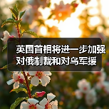 英国首相将进一步加强对俄制裁和对乌军援（图4）