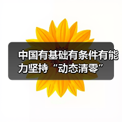 中国有基础有条件有能力坚持“动态清零”(图4) 中国有基础有条件有能力坚持“动态清零”(图4)