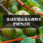 全球新冠疫苗从供应不足转为过剩(图1) 全球新冠疫苗从供应不足转为过剩(图1)