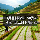 3月非制造业PMI为48.4%,比上月下降3.2%(图2) 3月非制造业PMI为48.4%,比上月下降3.2%(图2)