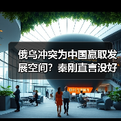 俄乌冲突为中国赢取发展空间?秦刚直言没好处(图3) 俄乌冲突为中国赢取发展空间?秦刚直言没好处(图3)