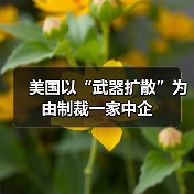美国以“武器扩散”为由制裁一家中企(图2) 美国以“武器扩散”为由制裁一家中企(图2)