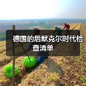 德国的后默克尔时代检查清单(图4) 德国的后默克尔时代检查清单(图4)