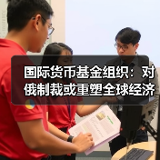国际货币基金组织:对俄制裁或重塑全球经济秩序(图3) 国际货币基金组织:对俄制裁或重塑全球经济秩序(图3)