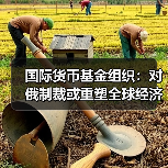 国际货币基金组织:对俄制裁或重塑全球经济秩序(图1) 国际货币基金组织:对俄制裁或重塑全球经济秩序(图1)