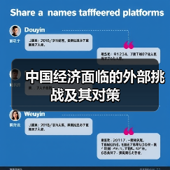中国经济面临的外部挑战及其对策(图4) 中国经济面临的外部挑战及其对策(图4)