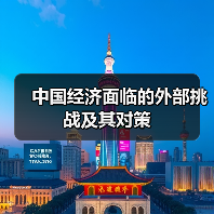 中国经济面临的外部挑战及其对策(图3) 中国经济面临的外部挑战及其对策(图3)