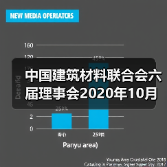 中国建筑材料联合会六届理事会2020年10月至今大事记(四)(图4) 中国建筑材料联合会六届理事会2020年10月至今大事记(四)(图4)