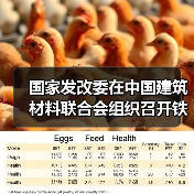 国家发改委在中国建筑材料联合会组织召开铁铝酸盐水泥工程示范应用研讨会（图2）