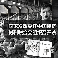 国家发改委在中国建筑材料联合会组织召开铁铝酸盐水泥工程示范应用研讨会(图4) 国家发改委在中国建筑材料联合会组织召开铁铝酸盐水泥工程示范应用研讨会(图4)