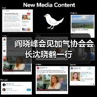 阎晓峰会见加气协会会长沈晓鹤一行(图2) 阎晓峰会见加气协会会长沈晓鹤一行(图2)