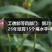 工信部等四部门:到2025年培育15个高水平特色家居产业集群(图3) 工信部等四部门:到2025年培育15个高水平特色家居产业集群(图3)