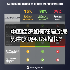 中国经济如何在复杂局势中实现4.8%增长?(图3) 中国经济如何在复杂局势中实现4.8%增长?(图3)