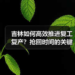 吉林如何高效推进复工复产?抢回时间的关键举措(图2) 吉林如何高效推进复工复产?抢回时间的关键举措(图2)