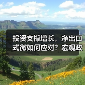 投资支撑增长，净出口式微如何应对？宏观政策需调整（图4）