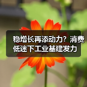 稳增长再添动力？消费低迷下工业基建发力（图2）