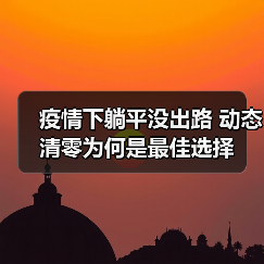疫情下躺平没出路 动态清零为何是最佳选择（图2）
