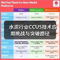 水泥行业CCUS技术应用挑战与突破路径（图3）